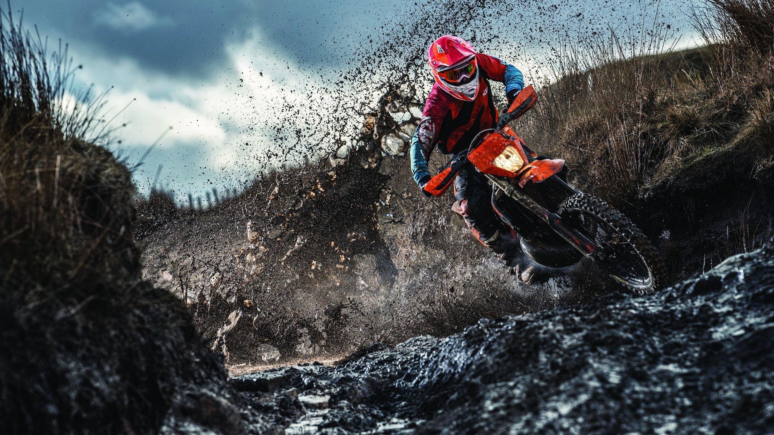 终极对决，2025年5月4日UFC赛场，罗德里格兹与罗伯逊争夺荣耀